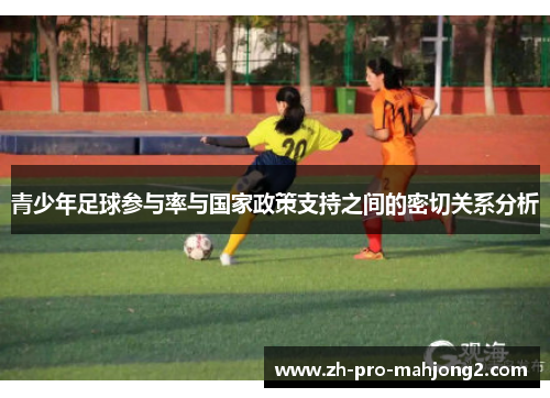 青少年足球参与率与国家政策支持之间的密切关系分析